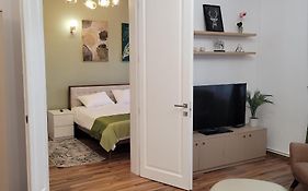 B8 - Spacious, Charming Apartment In Central Sibiu